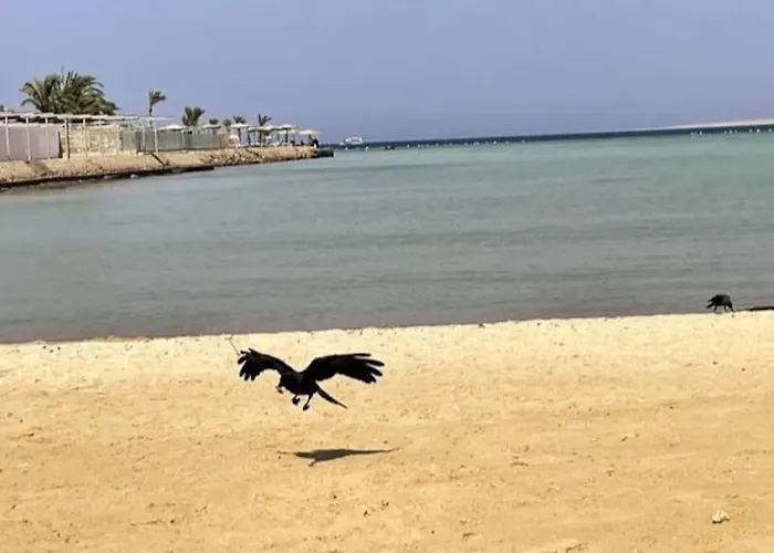 Florenza Khamsin - Sea View / Free Wi-fi Daire Hurgada