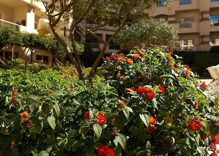 Florenza Khamsin - Sea View / Free Wi-fi Daire